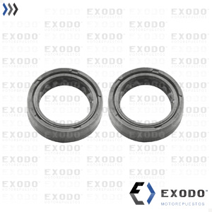 RETEN SUSPENSION HONDA BIZ 105 27x37x10.5 (Juego)