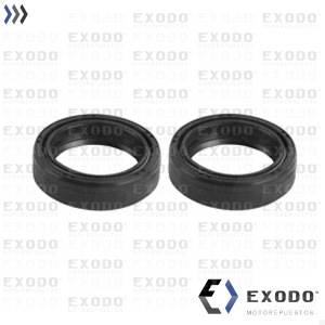 RETEN SUSPENSION YAMAHA YBR 125 30x40x10.5 (Juego)