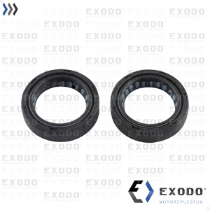 RETEN SUSPENSION HONDA STORM 31x43x10.5 (Juego)