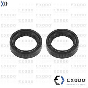 RETEN SUSPENSION YAMAHA YBR 125 30x40.5x10.5 (set x 2 u.)