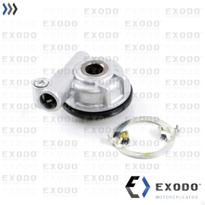 REENVIO VELOCIMERO ZANELLA RX 150 **